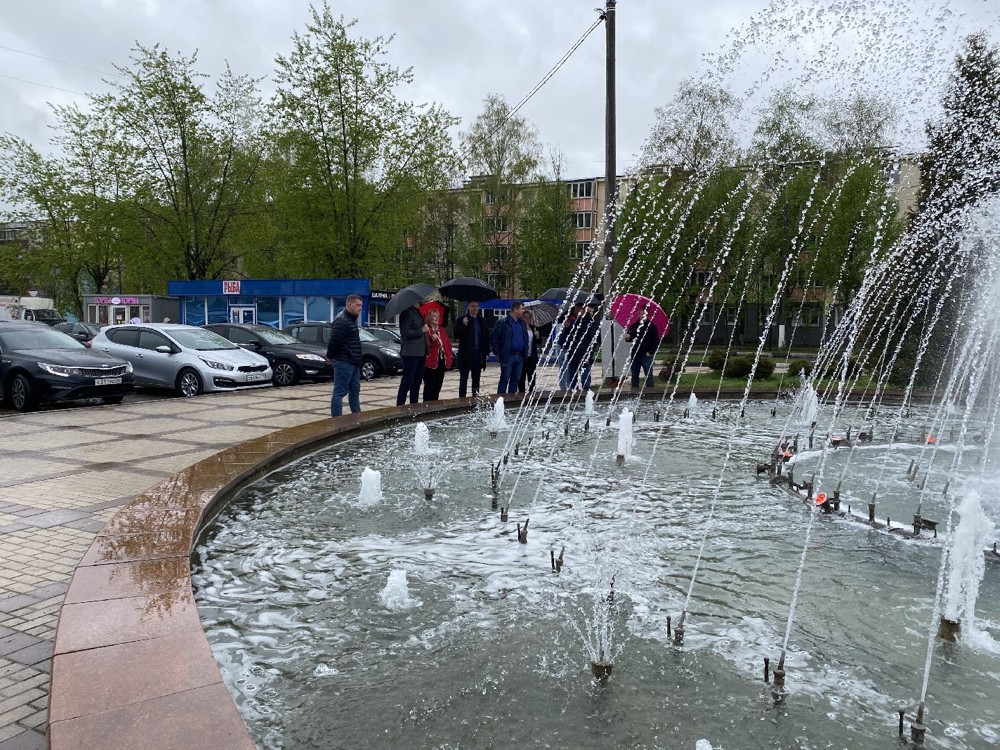 Чехов, благоустройство, фонтан, запуск, депутат