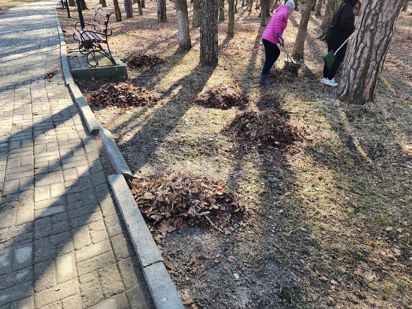 субботник,шатура, шатурский округ, уборка территорий,