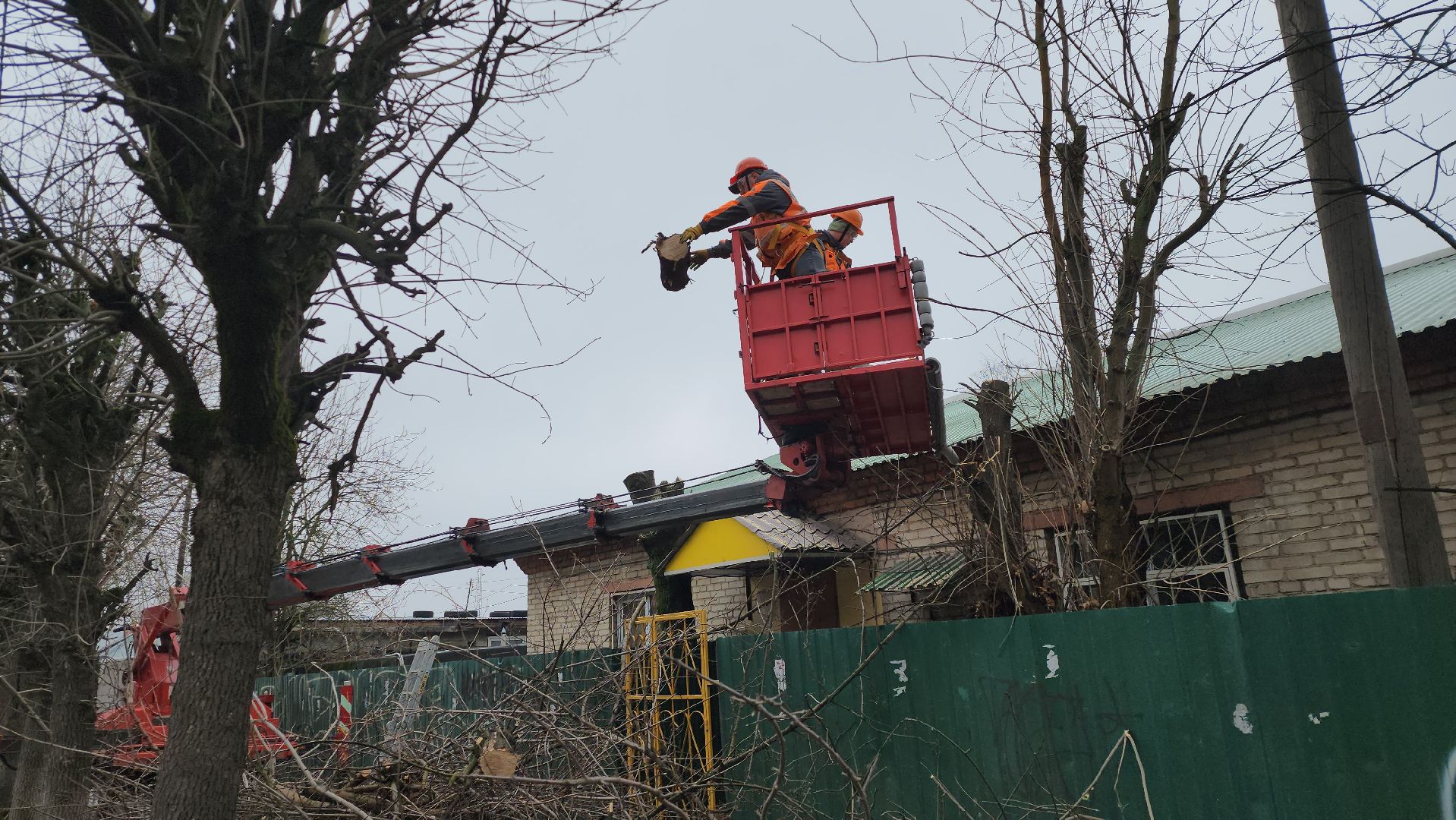 серпухов, подмосковье, ржд, спил деревьев,