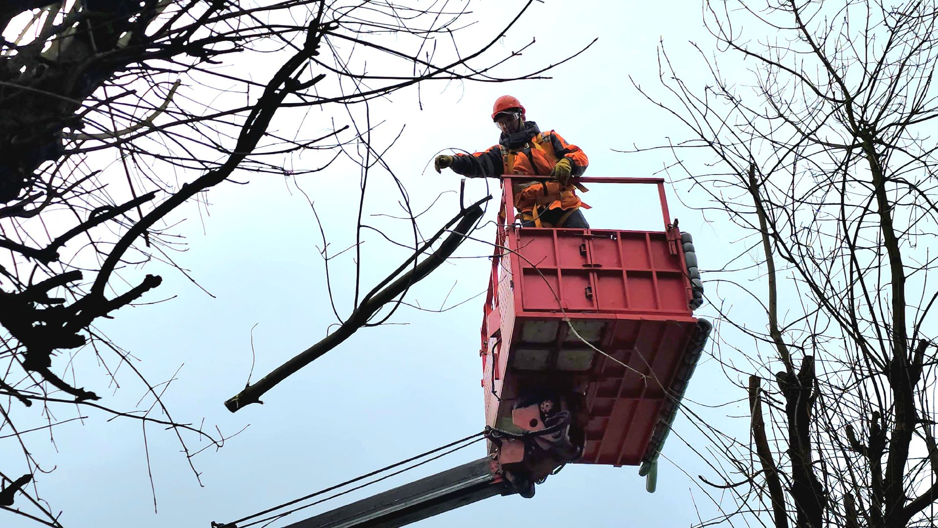 серпухов, подмосковье, ржд, спил деревьев,