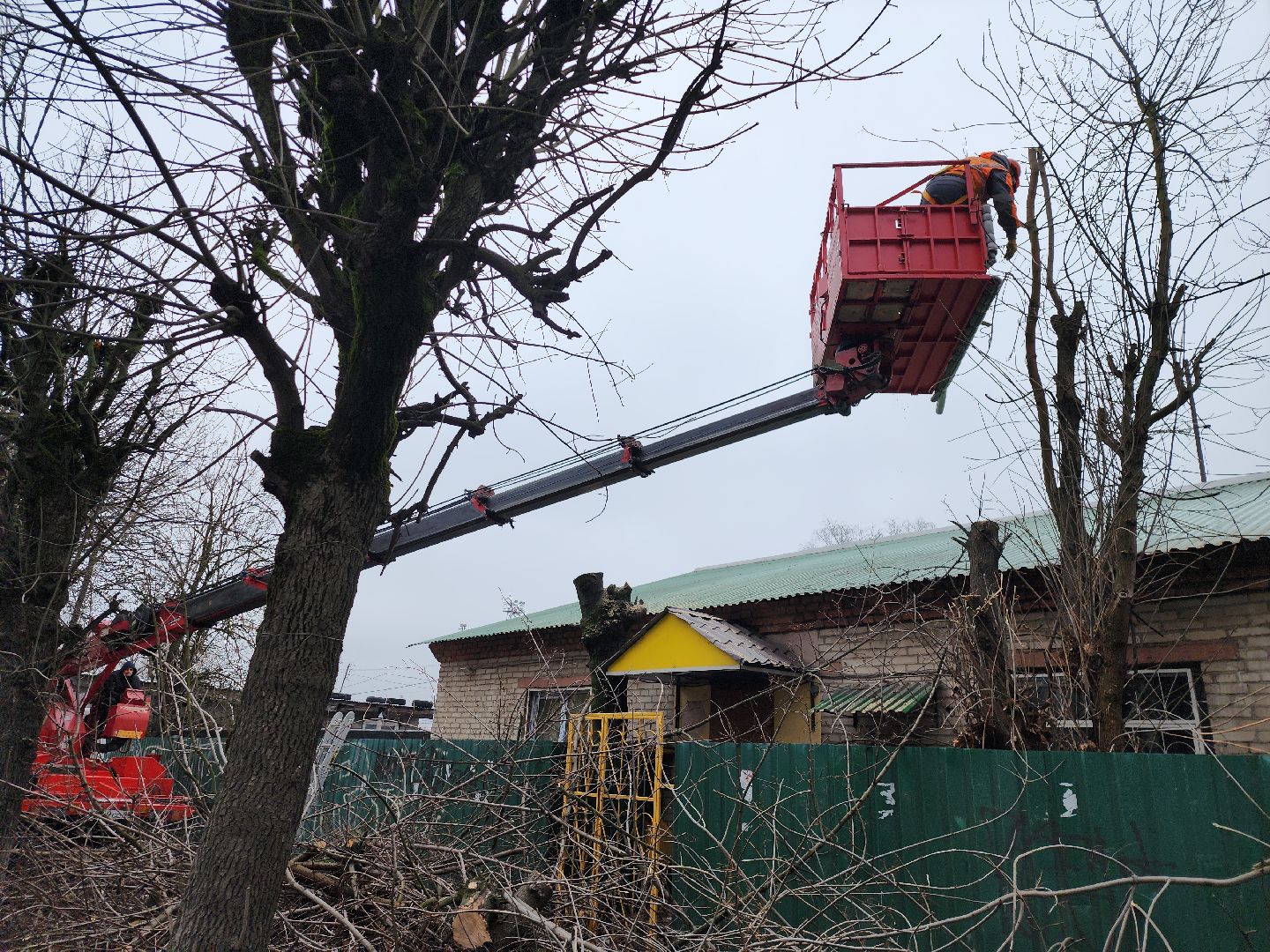 серпухов, подмосковье, ржд, спил деревьев,