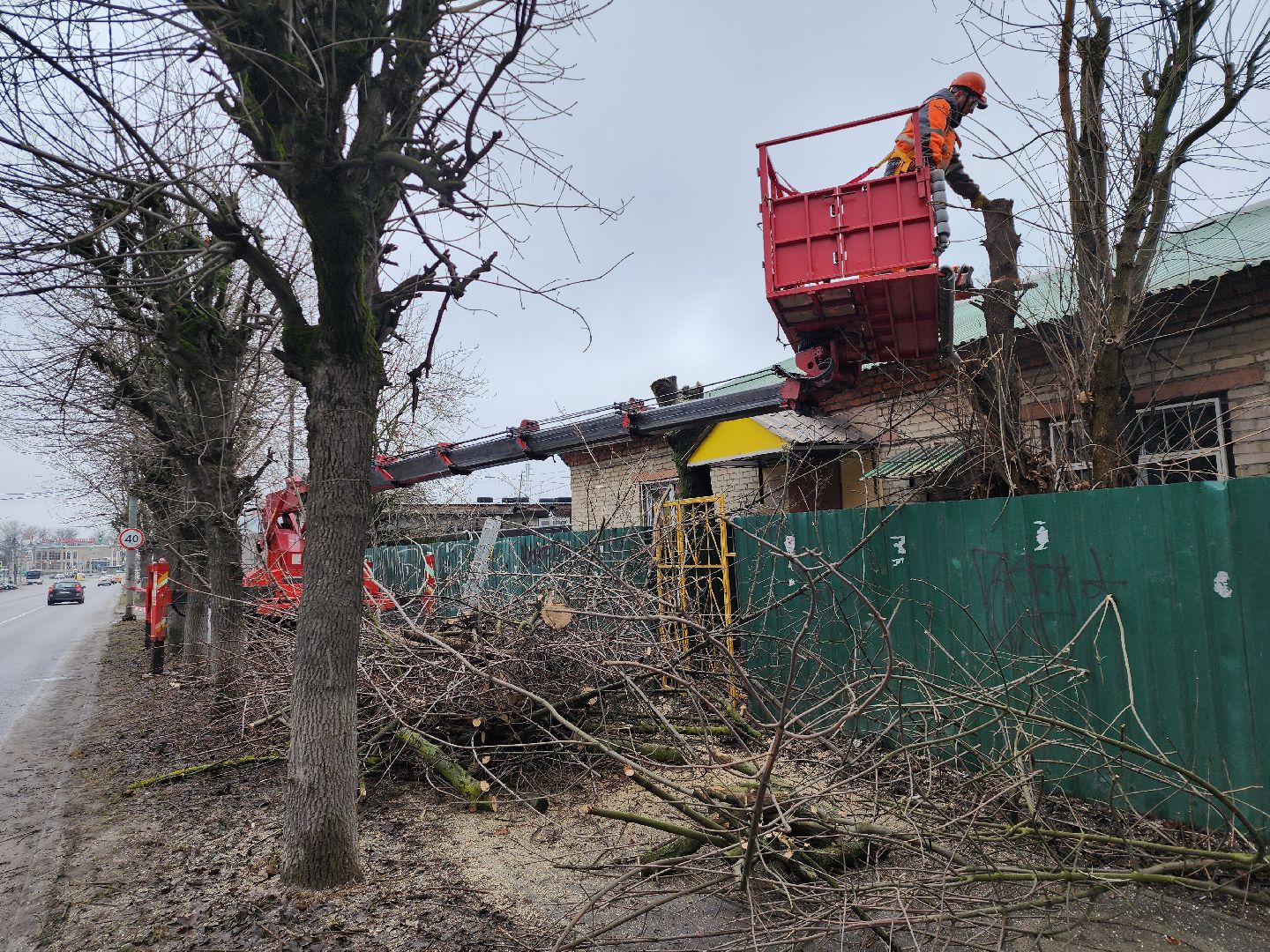 серпухов, подмосковье, ржд, спил деревьев,