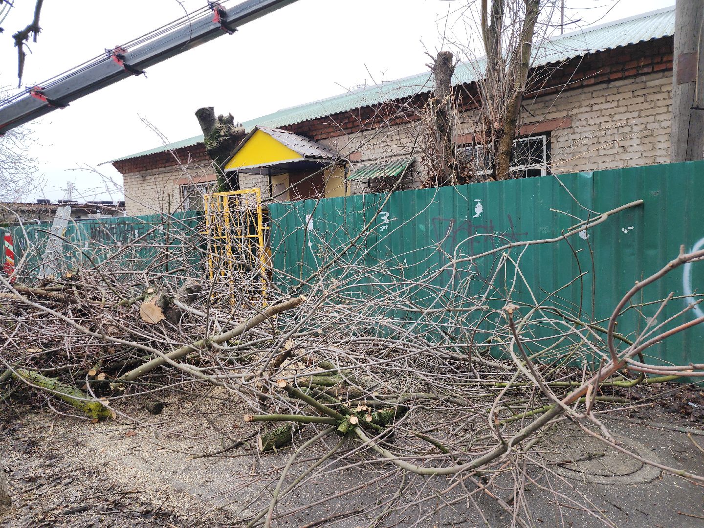 серпухов, подмосковье, ржд, спил деревьев,