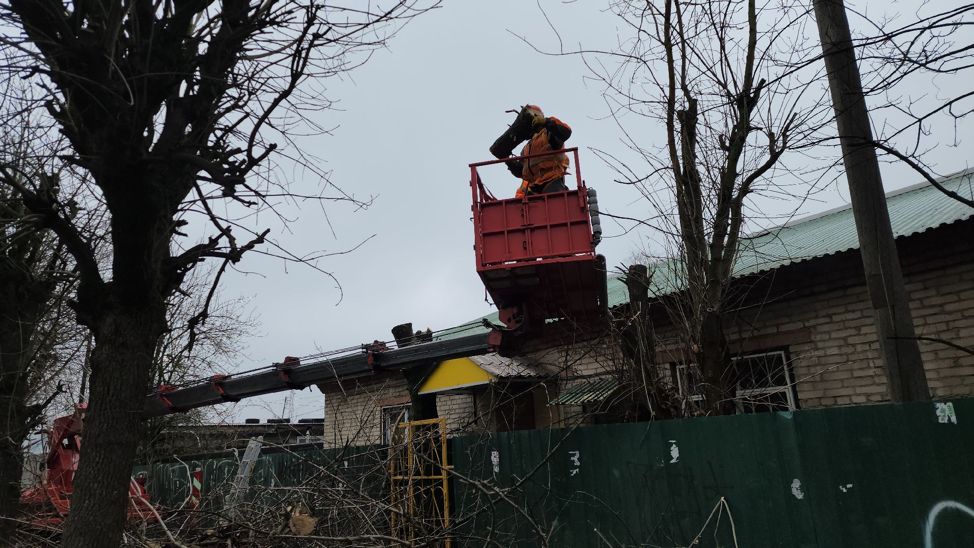 серпухов, подмосковье, ржд, спил деревьев,