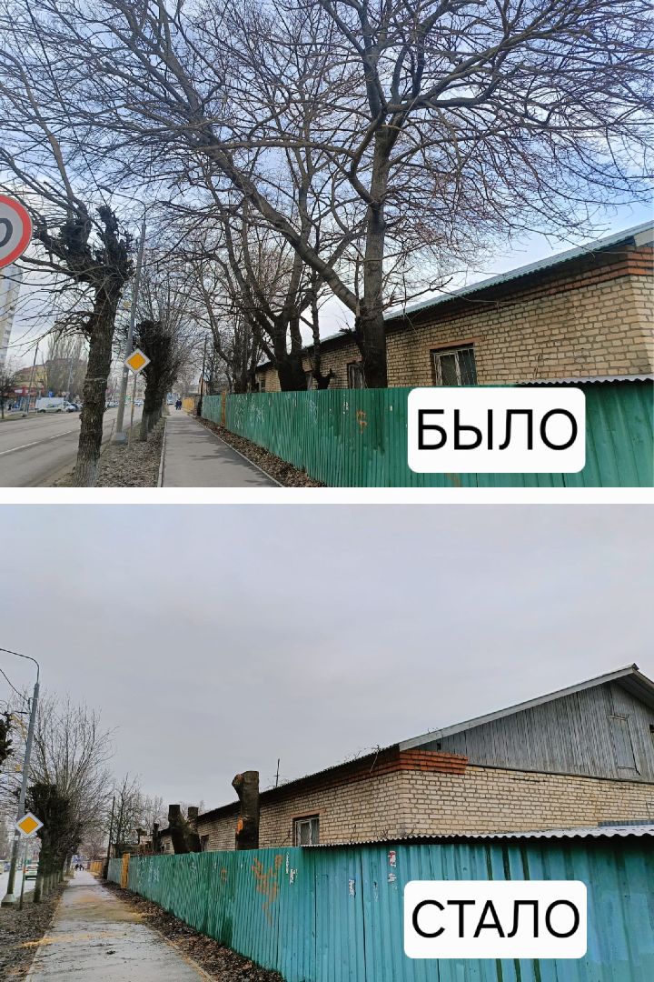 серпухов, подмосковье, ржд, спил деревьев,