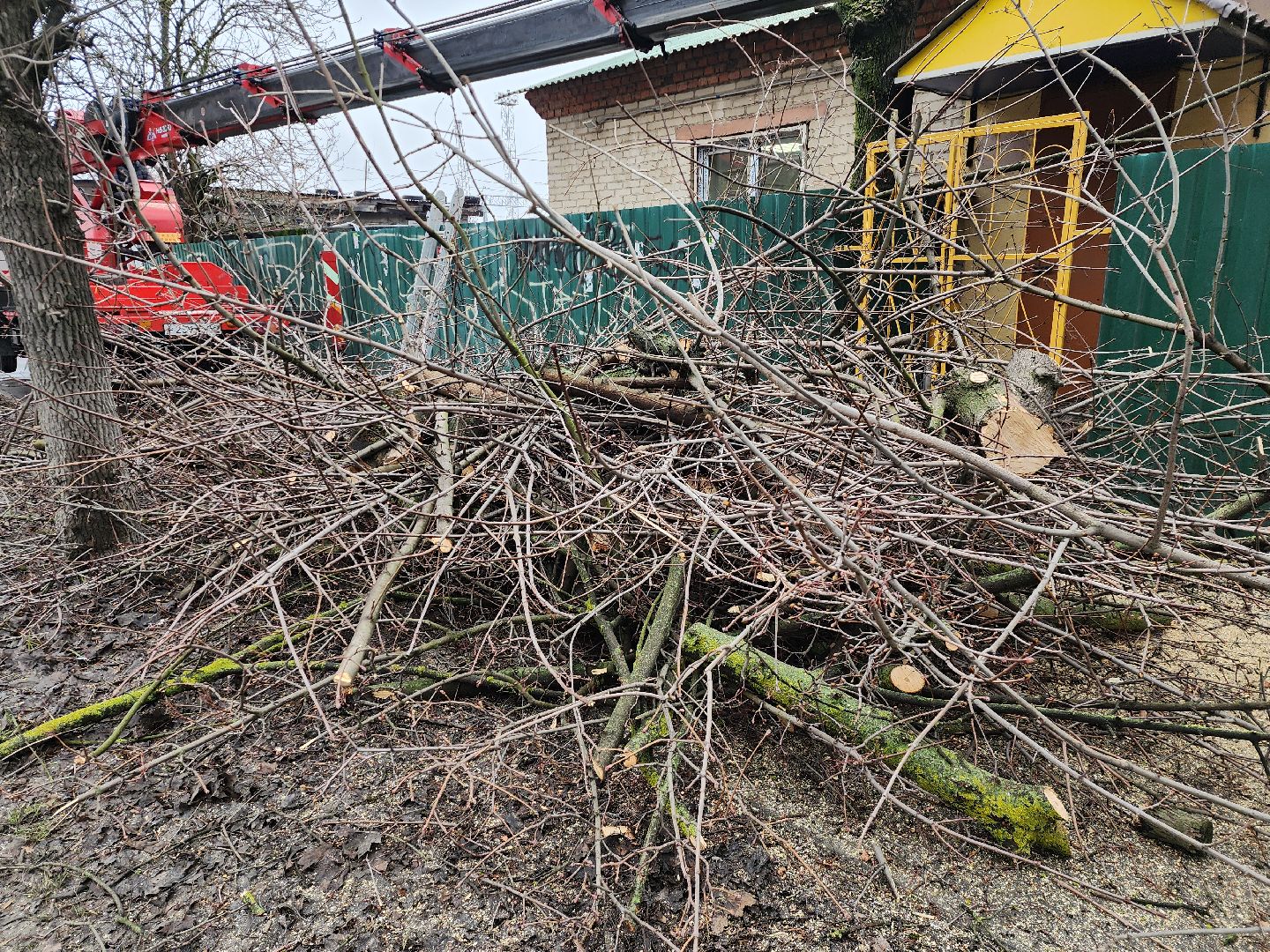 серпухов, подмосковье, ржд, спил деревьев,