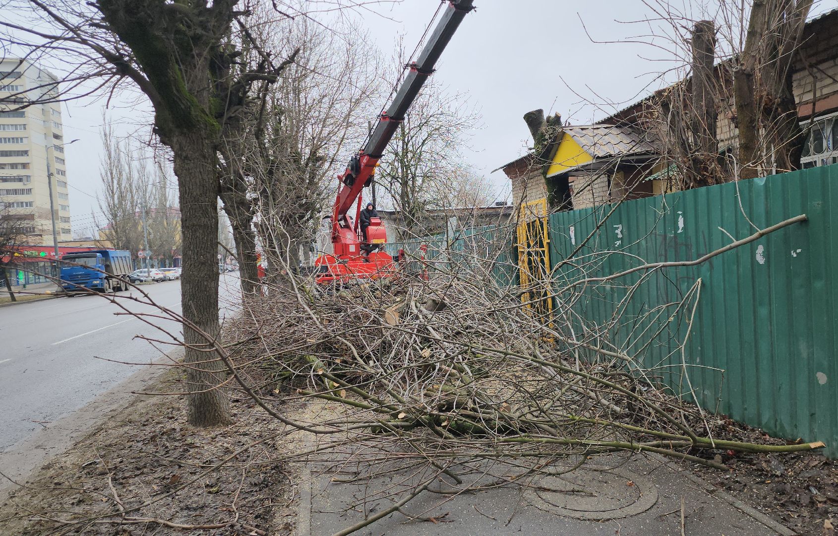 серпухов, подмосковье, ржд, спил деревьев,