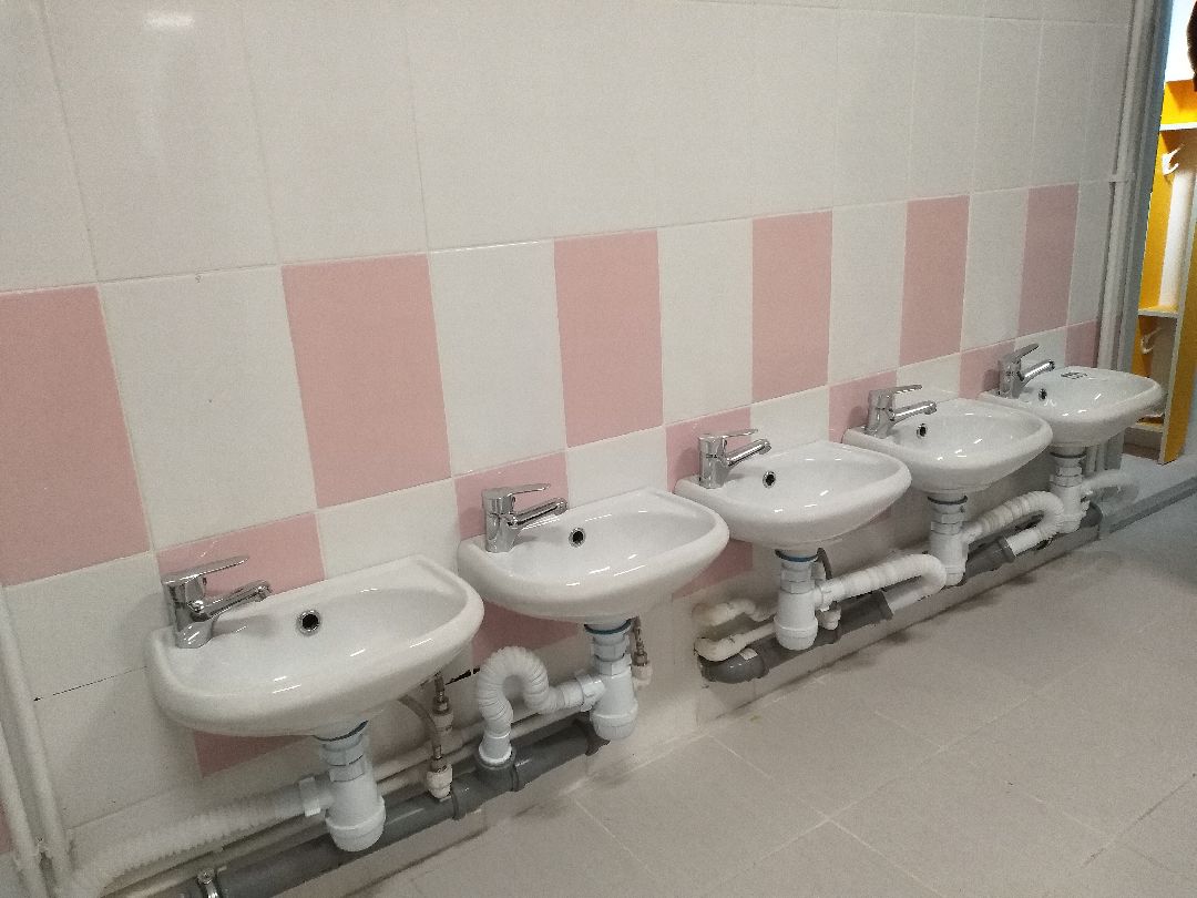 Лосино-Петровский, общество