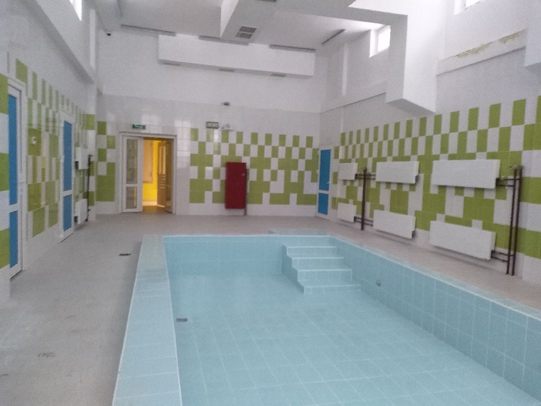 Лосино-Петровский, общество