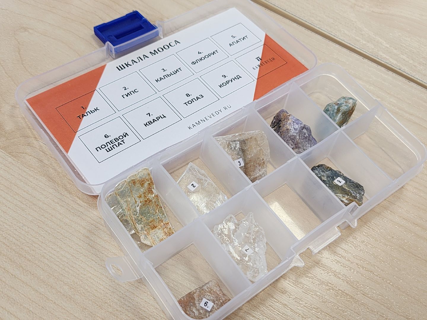 фрязино, технопарк, образование, химия, инженерная школа,