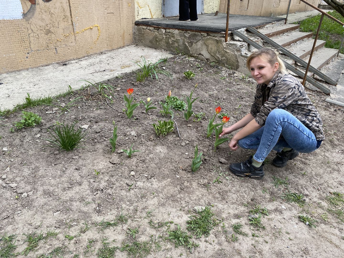 Чехов, благоустройство, клумба, тюльпаны, житель