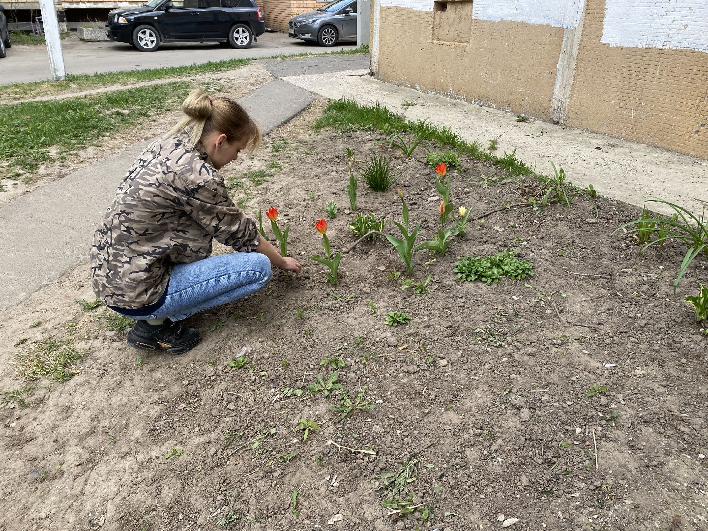 Чехов, благоустройство, клумба, тюльпаны, житель