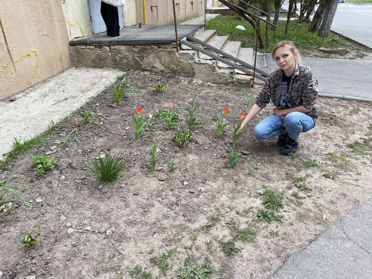 Чехов, благоустройство, клумба, тюльпаны, житель