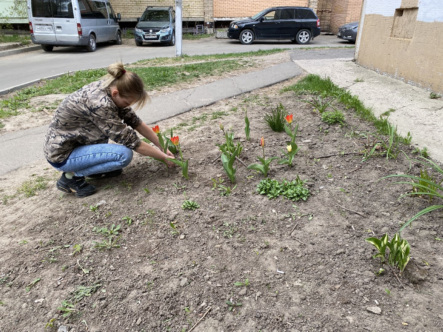 Чехов, благоустройство, клумба, тюльпаны, житель