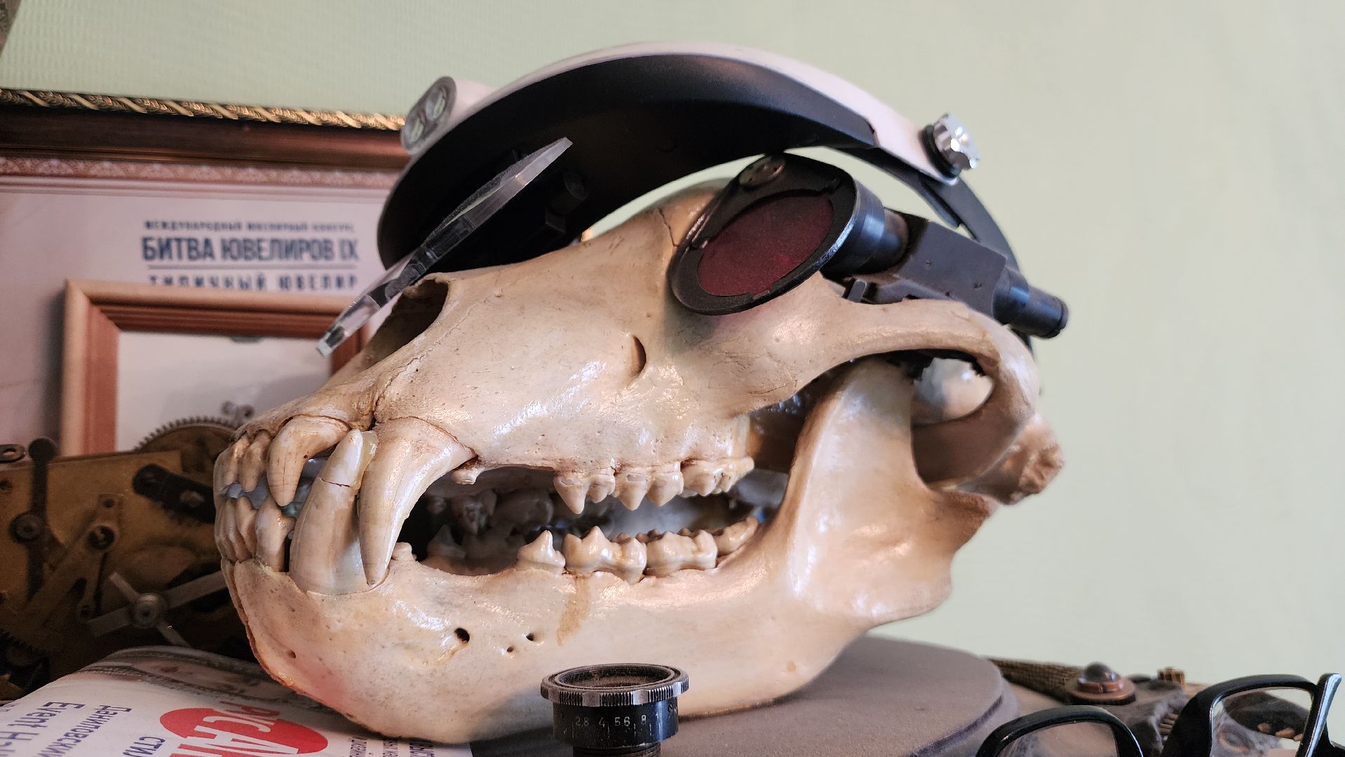 красногорск, стимпанк, художник,