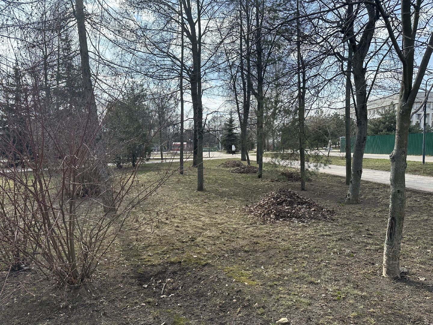 Парк, Уборка, Весна, люберцы,