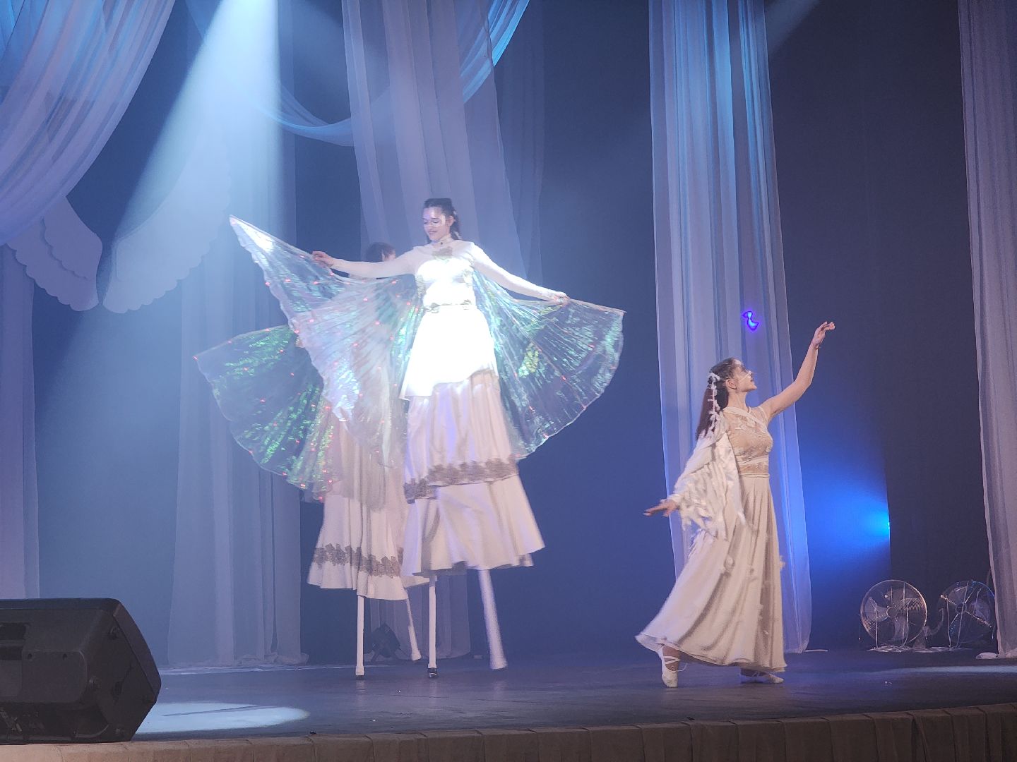 орехово зуево, концерт, шоу,