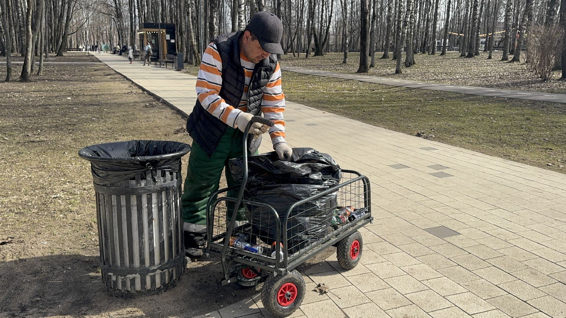 солнечногорск, городской парк, уборка територии, жители, опиловка деревьев,