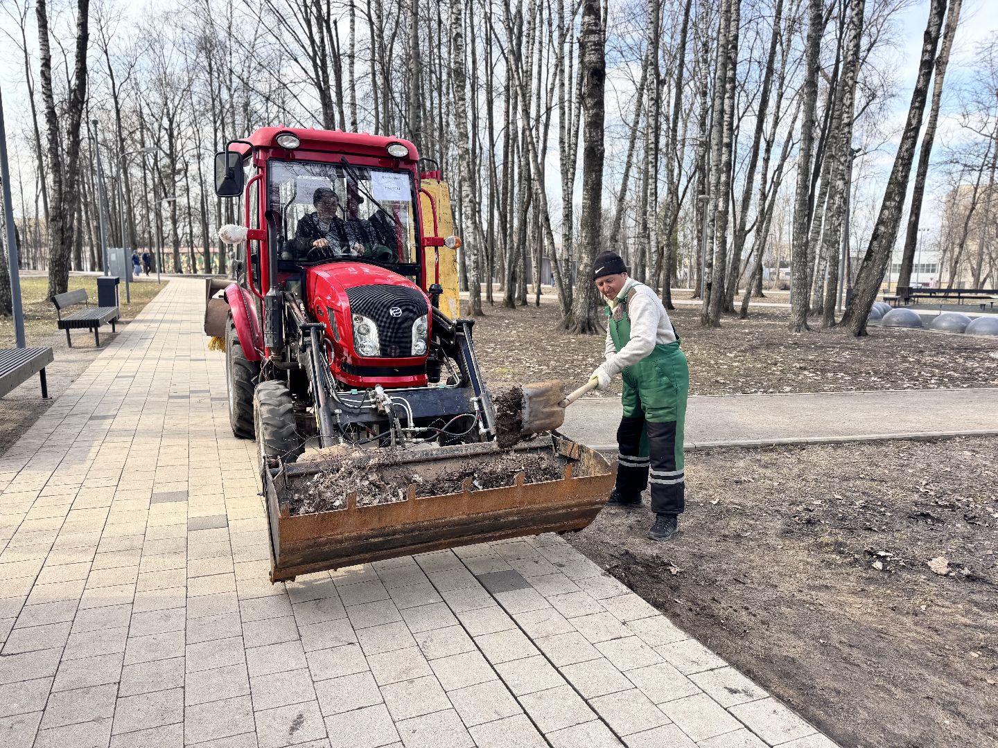 солнечногорск, городской парк, уборка територии, жители, опиловка деревьев,