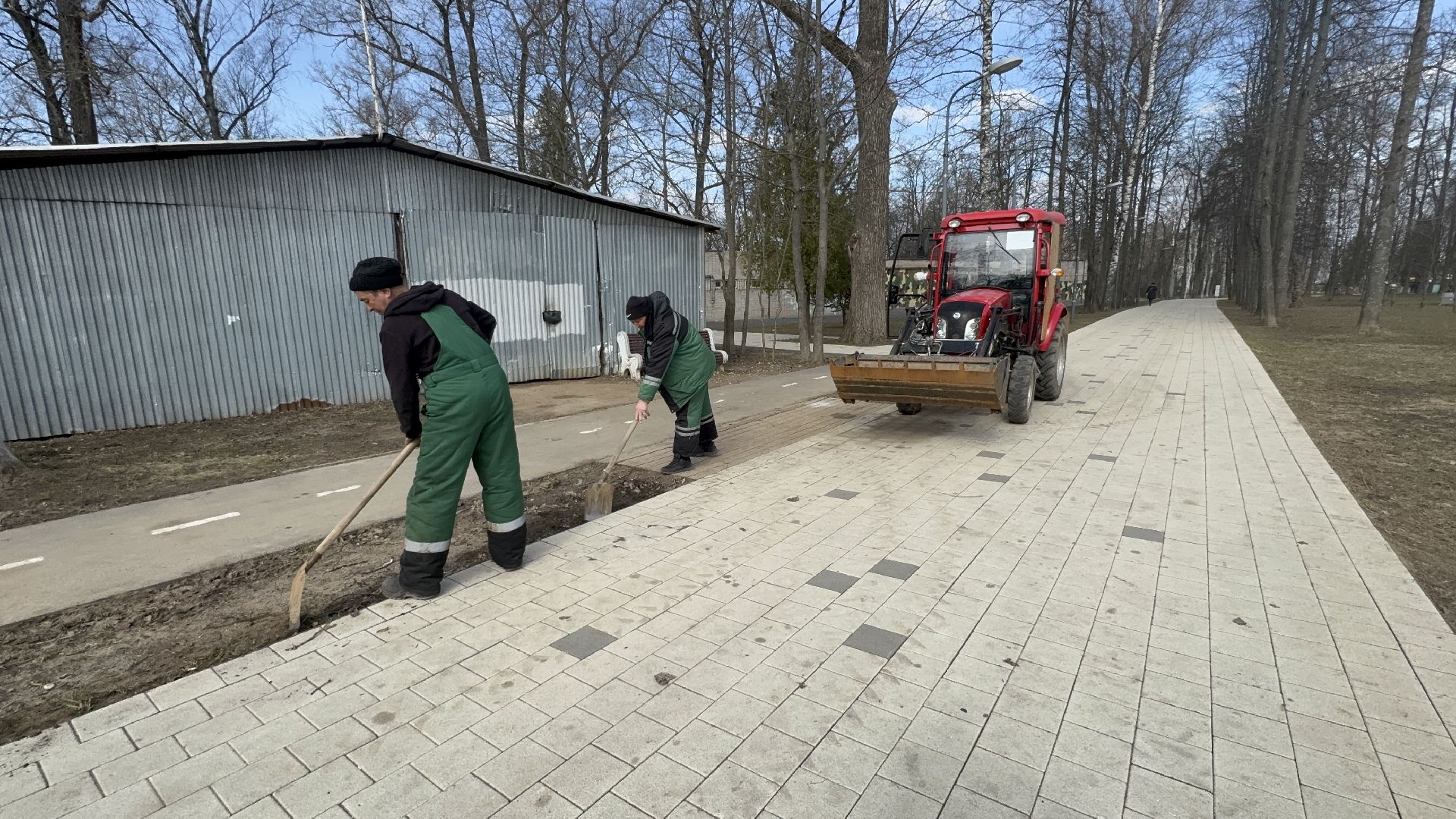 солнечногорск, городской парк, уборка територии, жители, опиловка деревьев,