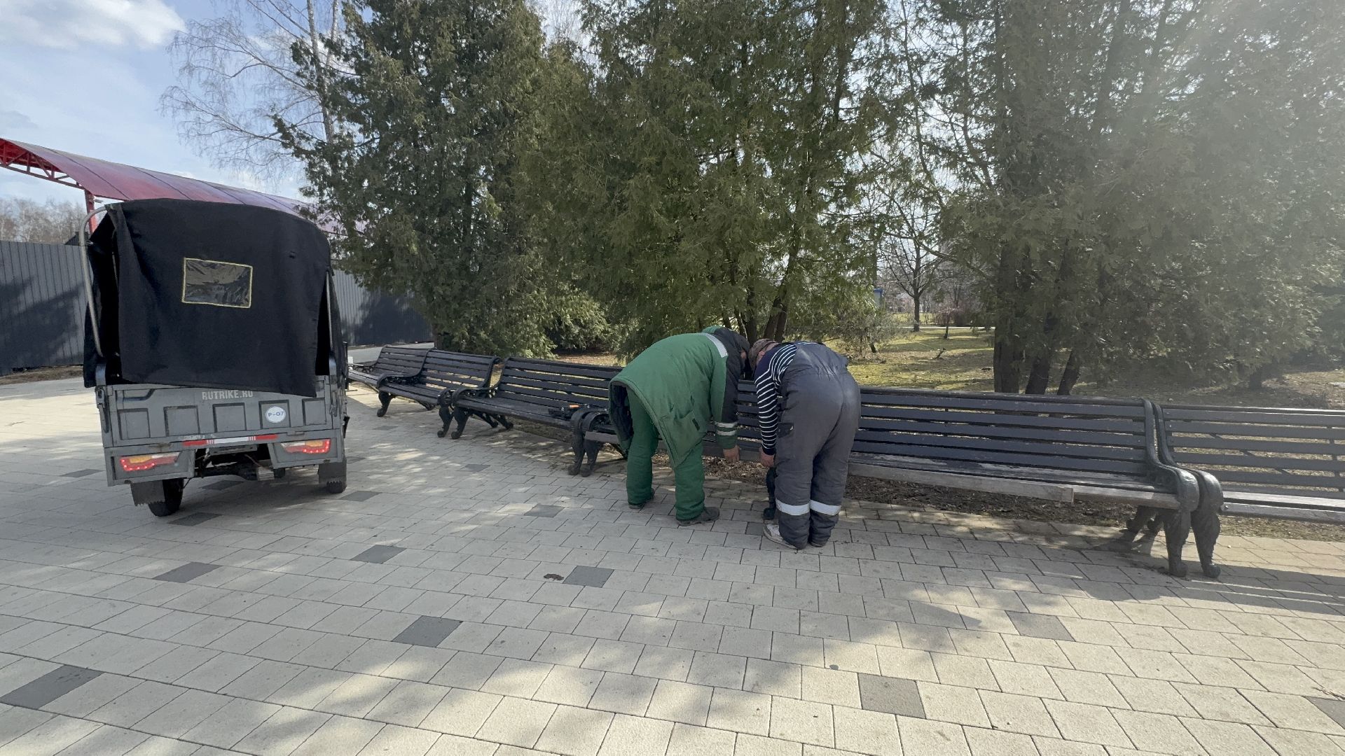 солнечногорск, городской парк, уборка територии, жители, опиловка деревьев,
