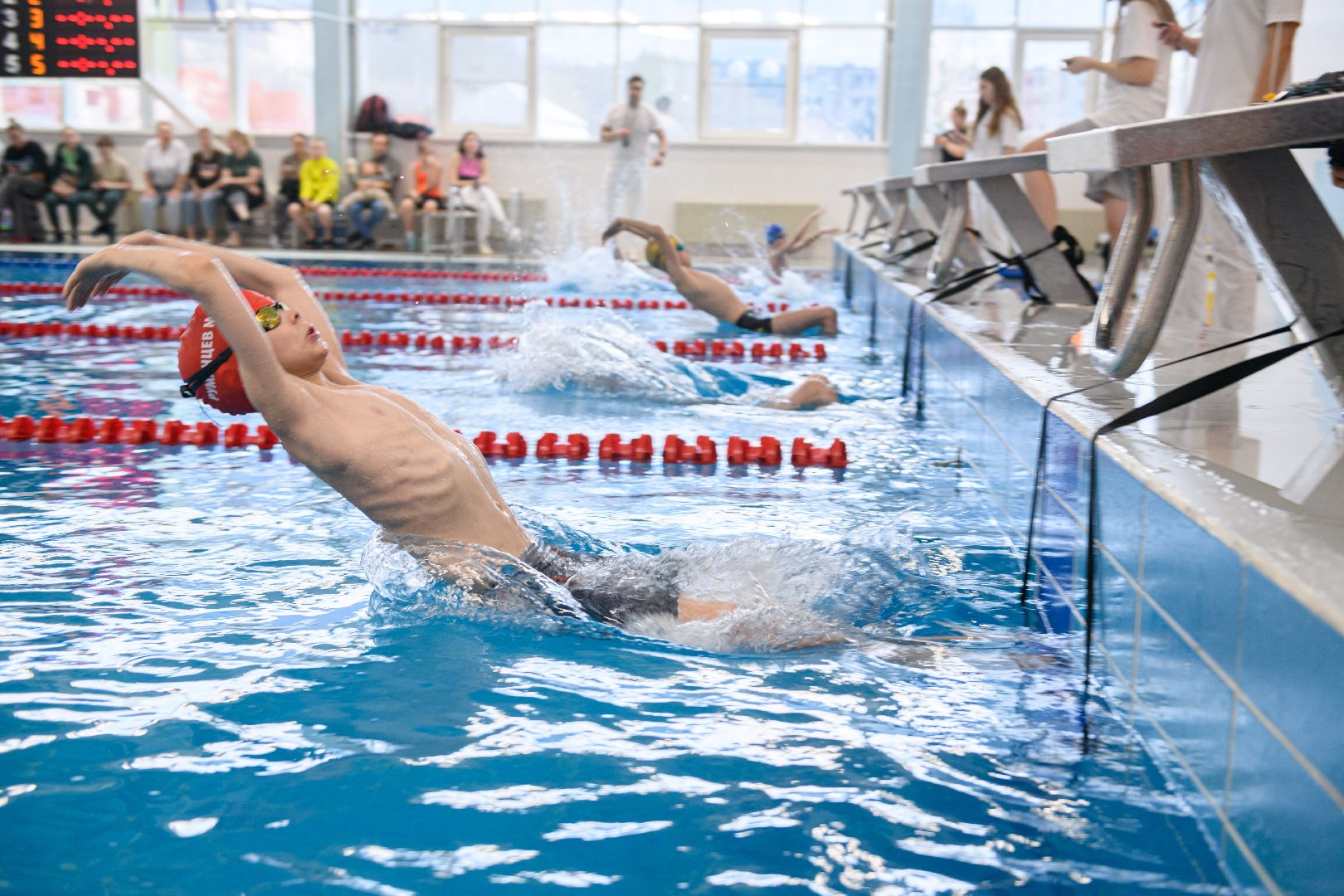 лыткарино, спорт, плавание, соревнования по плаванию, вертикалки,