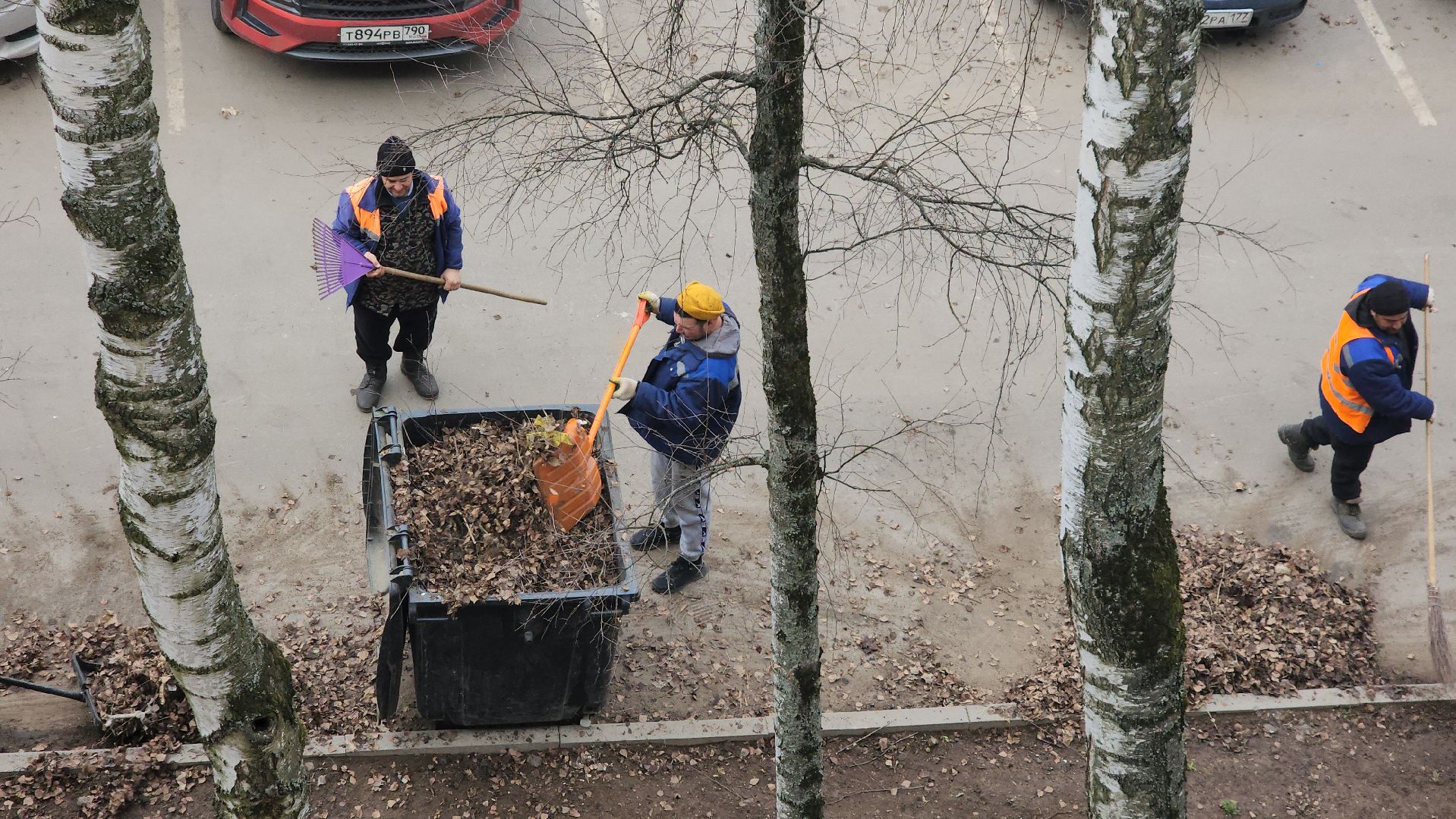 пушкино, уборка листвы, коммунальная служба, рабочие, дворовые территории,вертикалки,
