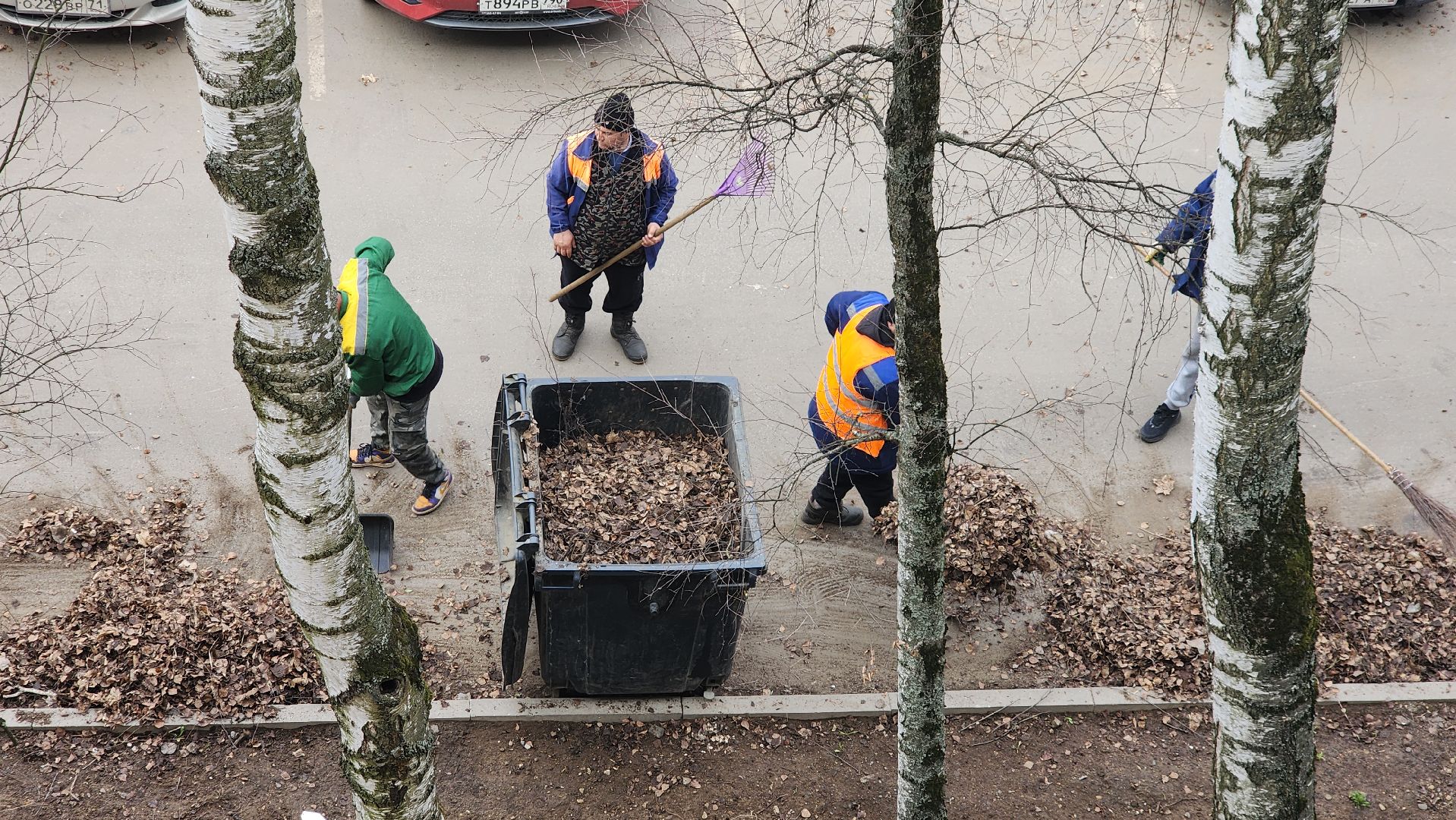 пушкино, уборка листвы, коммунальная служба, рабочие, дворовые территории,вертикалки,