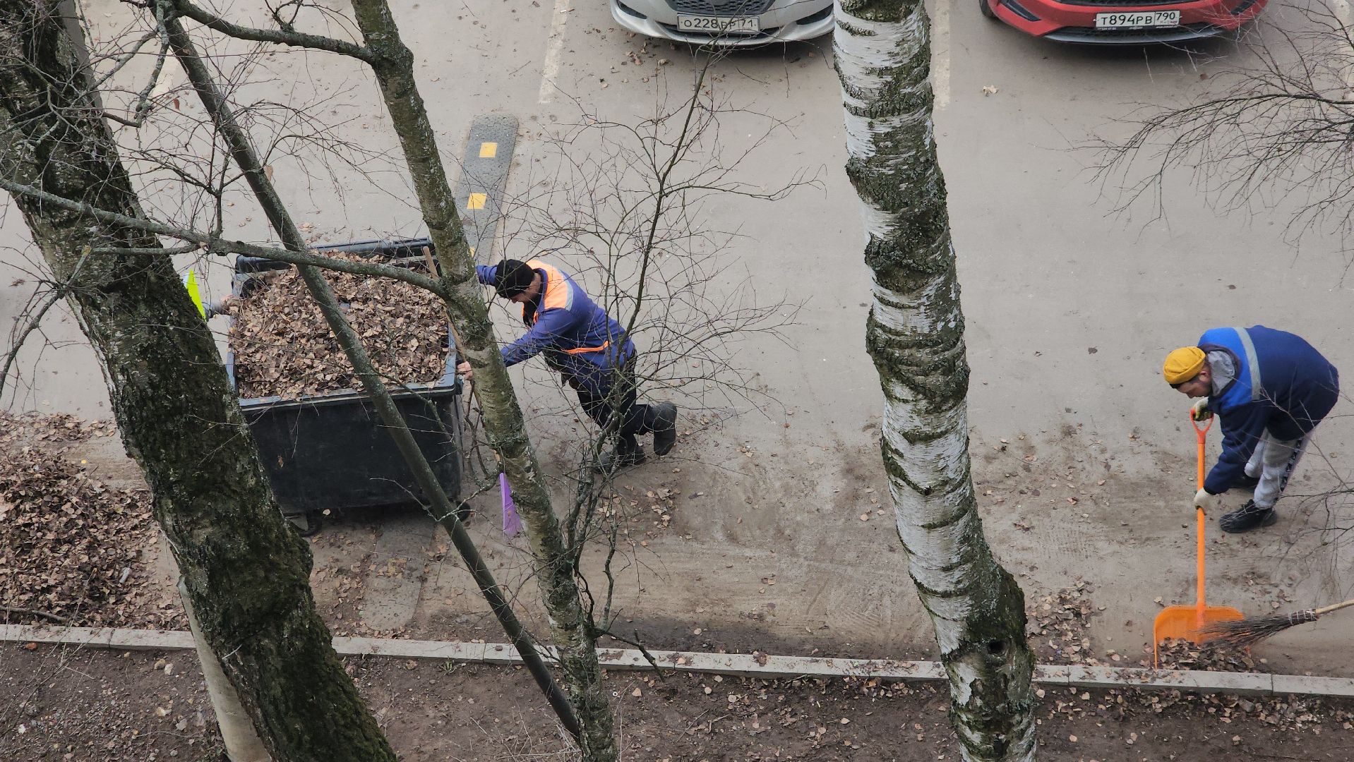 пушкино, уборка листвы, коммунальная служба, рабочие, дворовые территории,вертикалки,