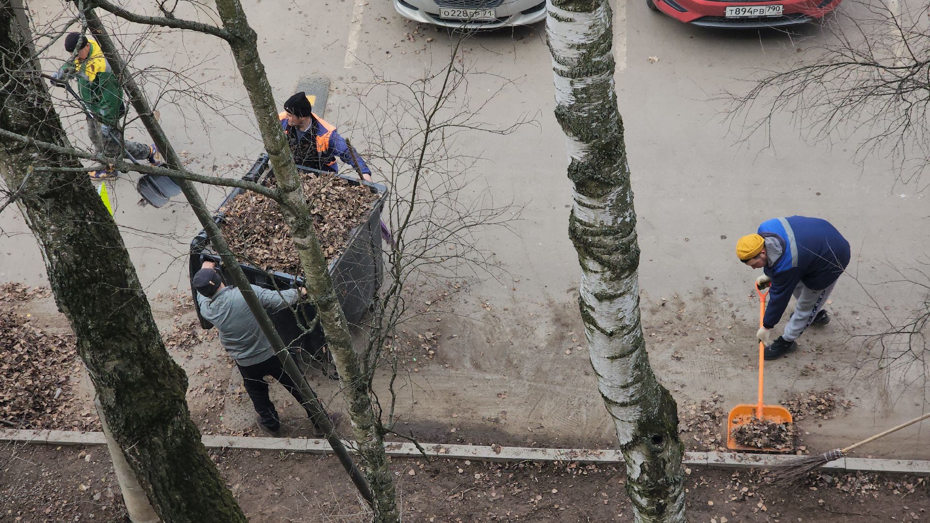 пушкино, уборка листвы, коммунальная служба, рабочие, дворовые территории,вертикалки,