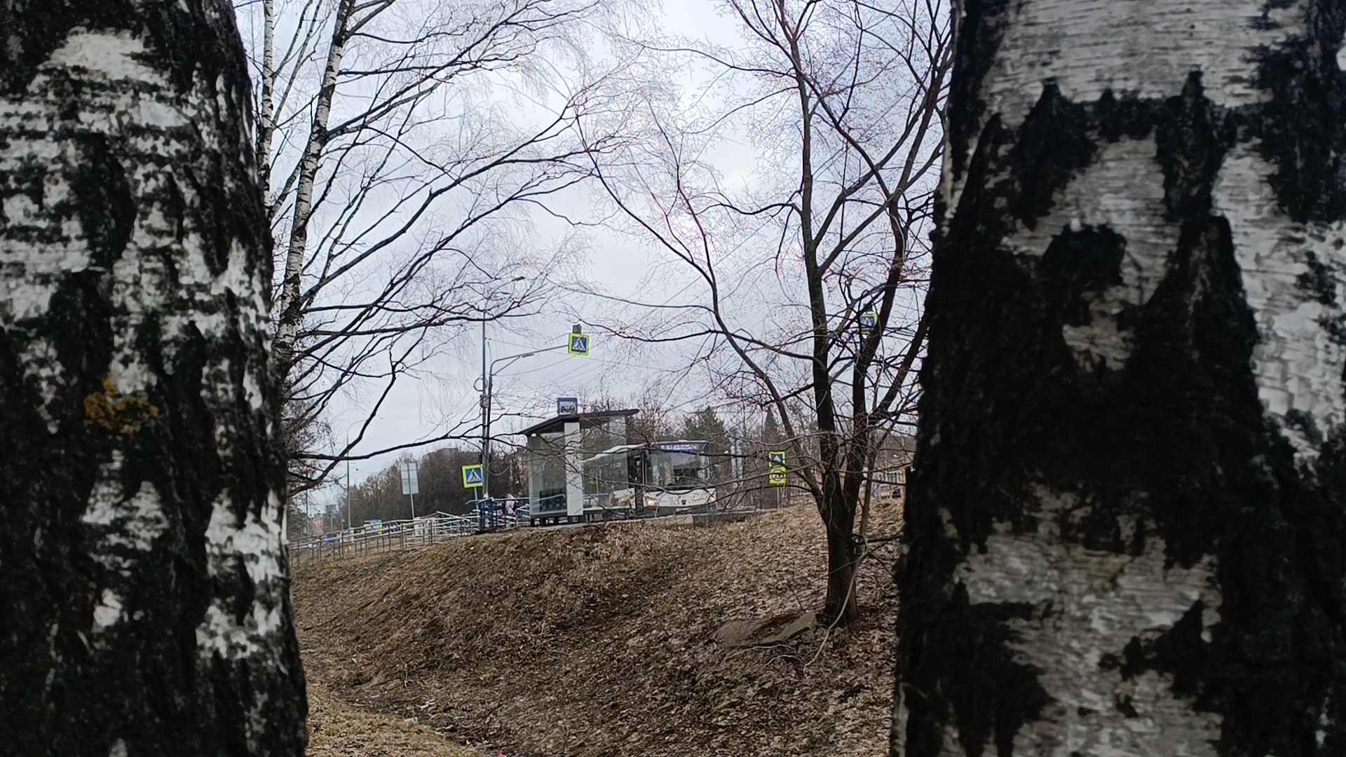 транспорт, остановка, лобня,