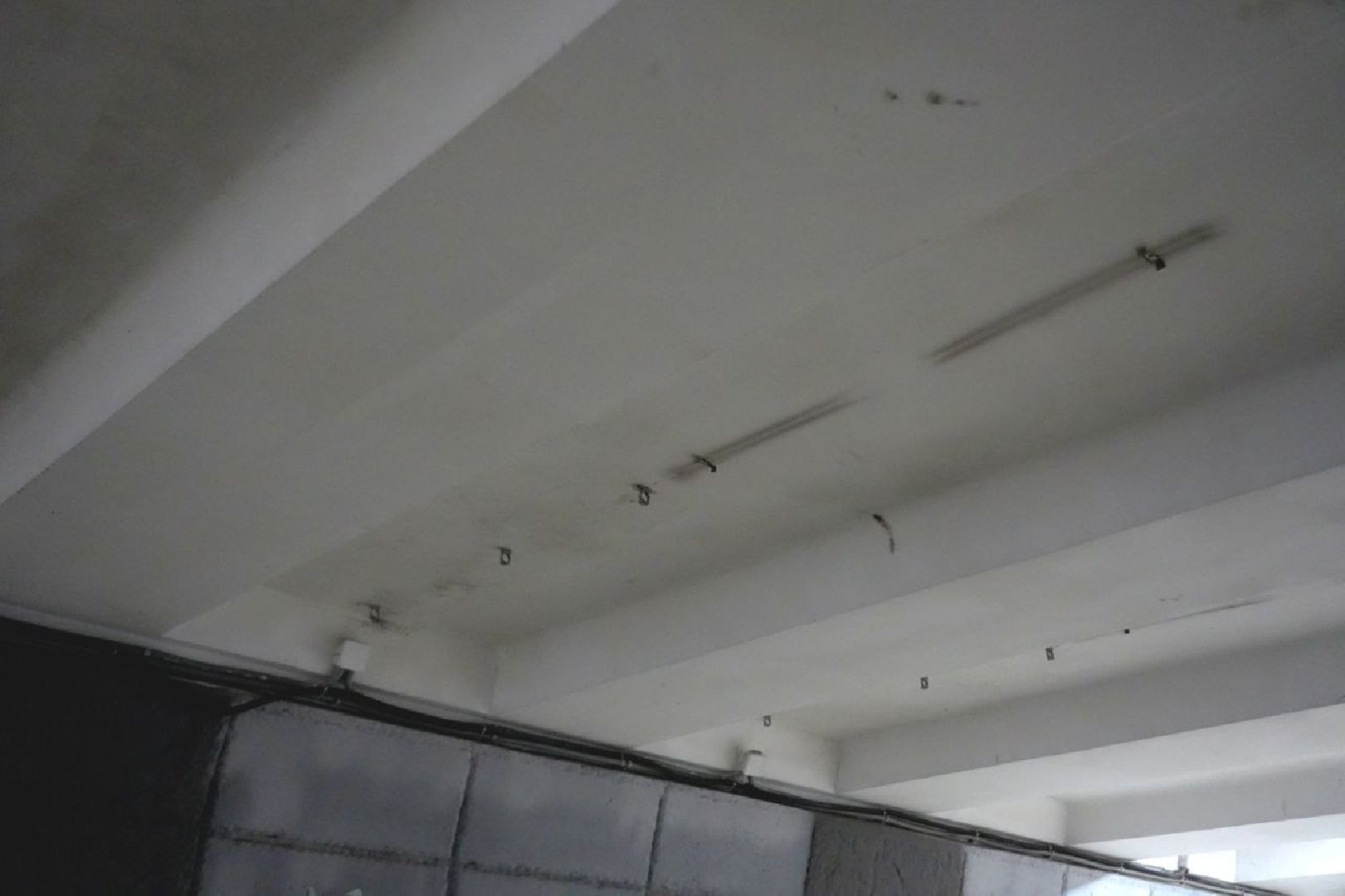 вандализм, сергиев посад, благоустройство, сергиево-посадский городской округ,