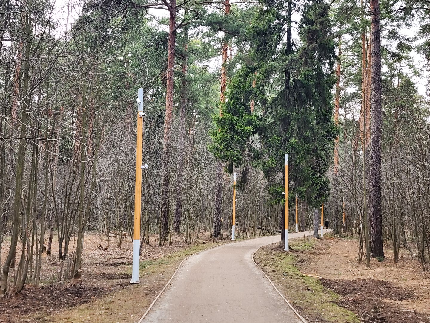 пушкино, благоустройство, губернатор мо, андрей воробьёв, парки го пушкинский,