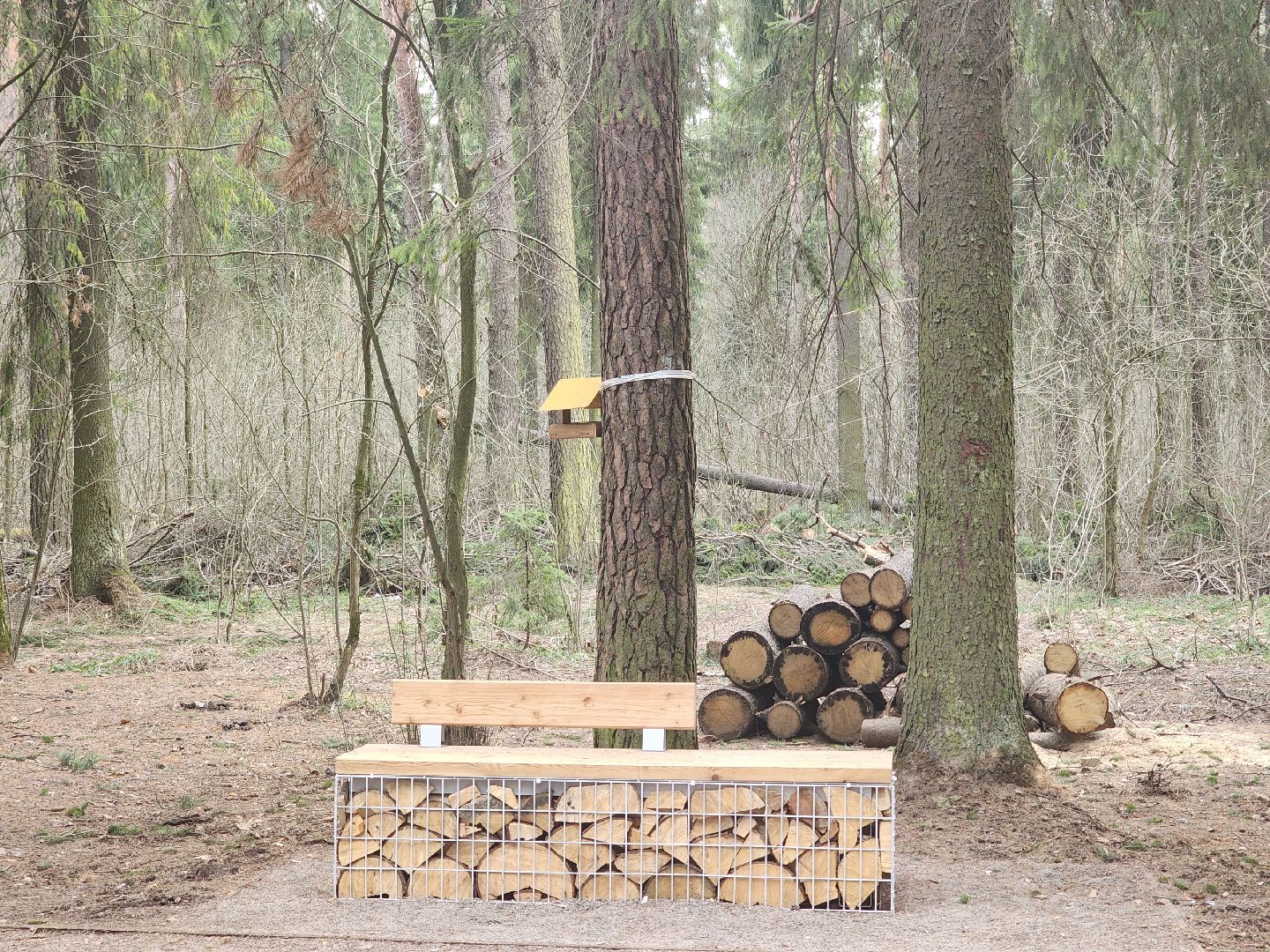 пушкино, благоустройство, губернатор мо, андрей воробьёв, парки го пушкинский,