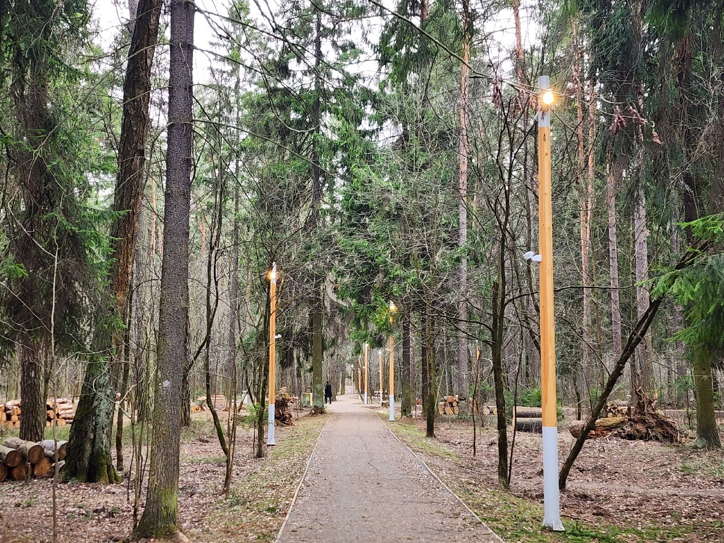 пушкино, благоустройство, губернатор мо, андрей воробьёв, парки го пушкинский,