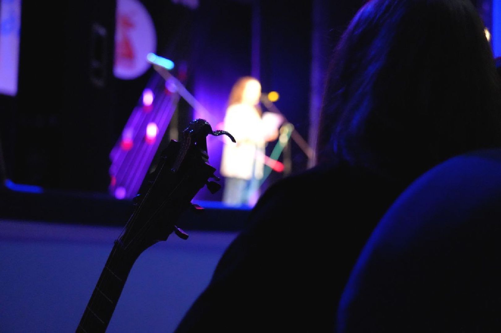 культура, журавлиная родина, сергиев посад, авторская песня, бардовская песня, сергиево-посадский городской округ,