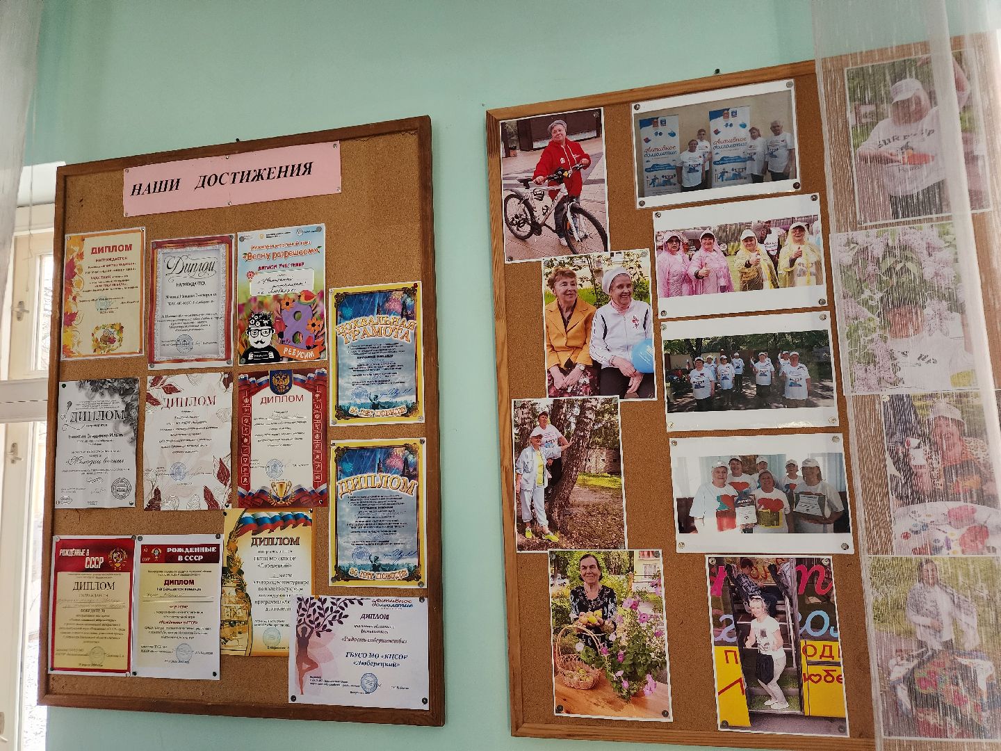 инвалидность, адаптивная физкультура, фокси, спорт,