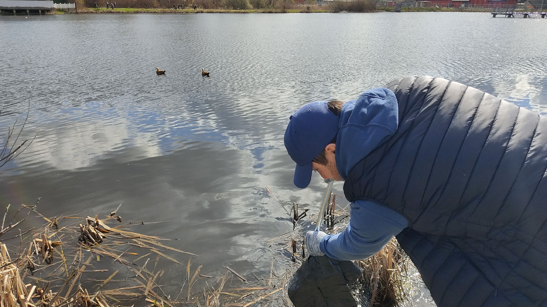 Лобня, субботник, благоустройство