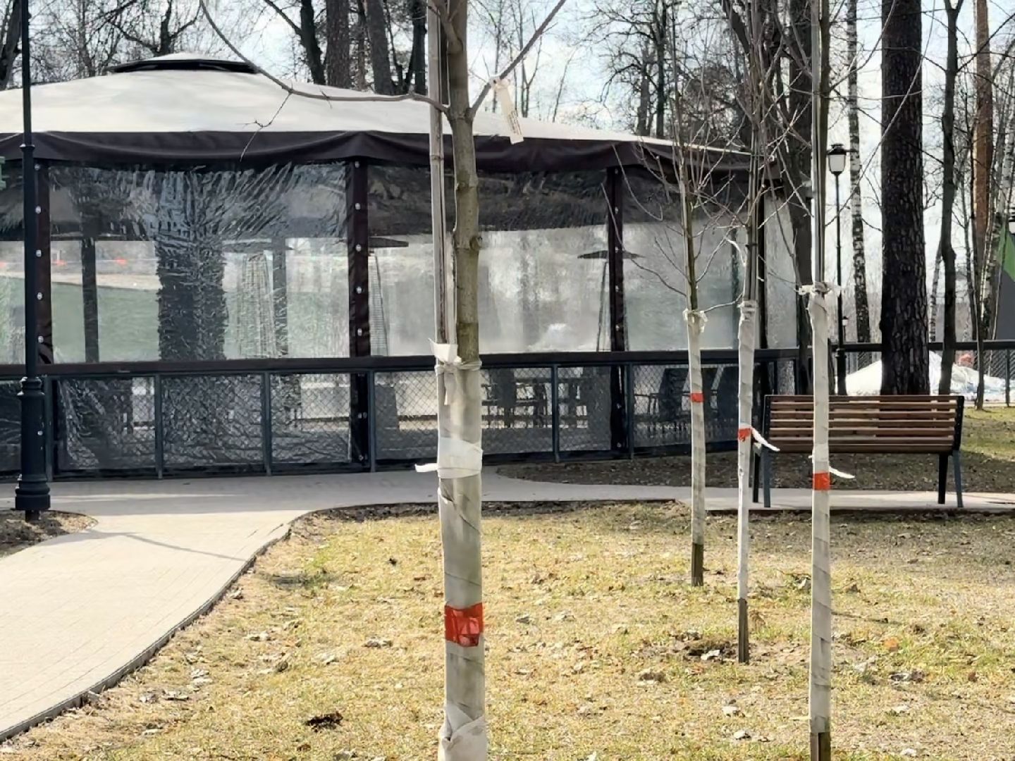 раменское, городской парк, первоцветы,благоустройство,