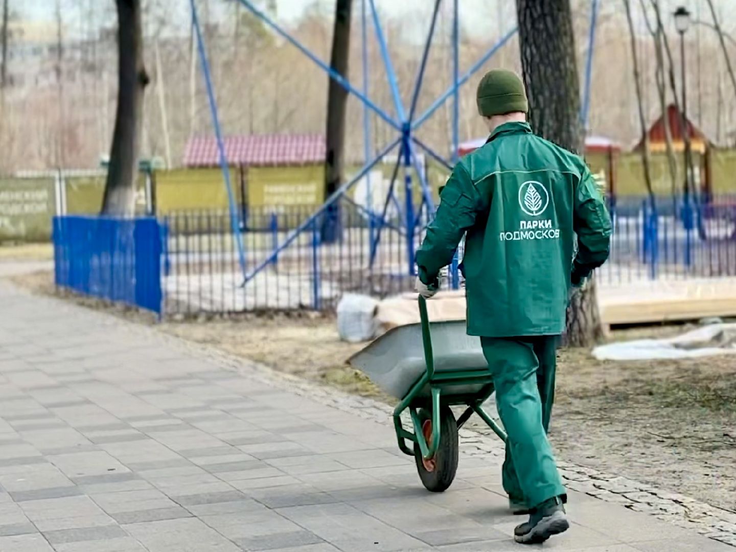 раменское, городской парк, первоцветы,благоустройство,