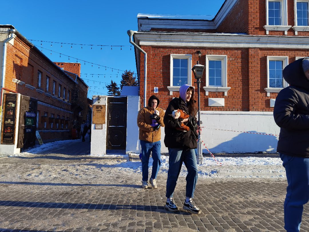 Коломна, общество