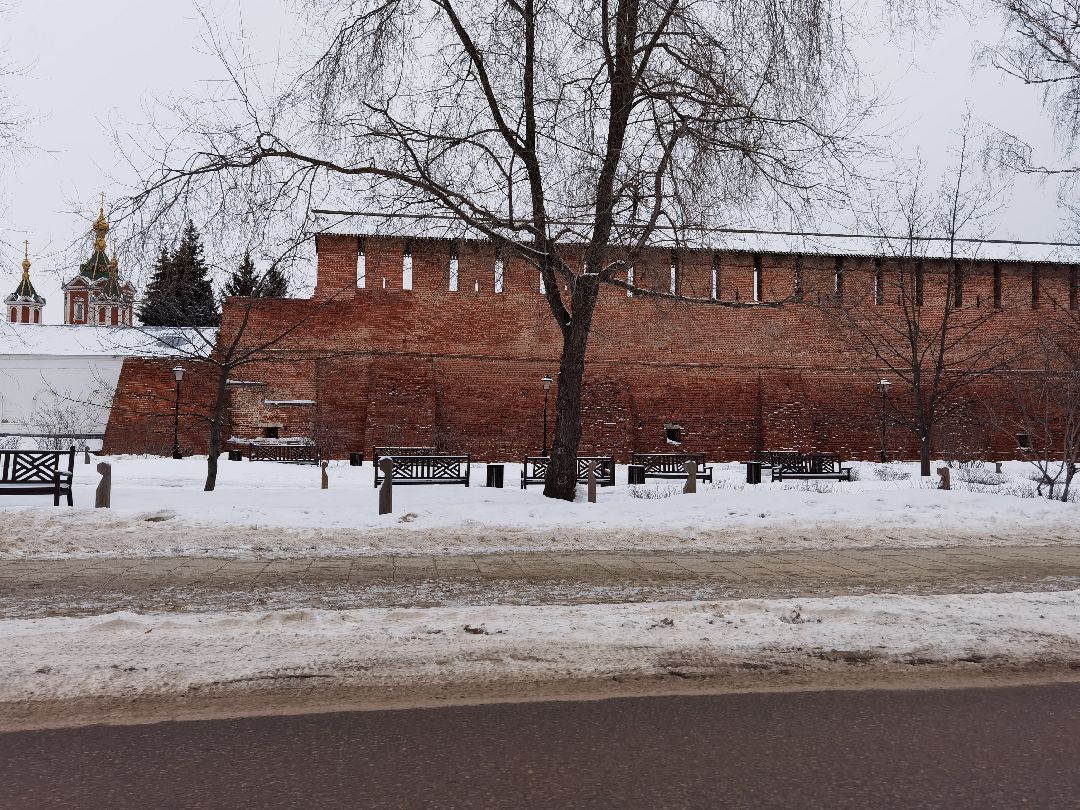 Коломна, общество