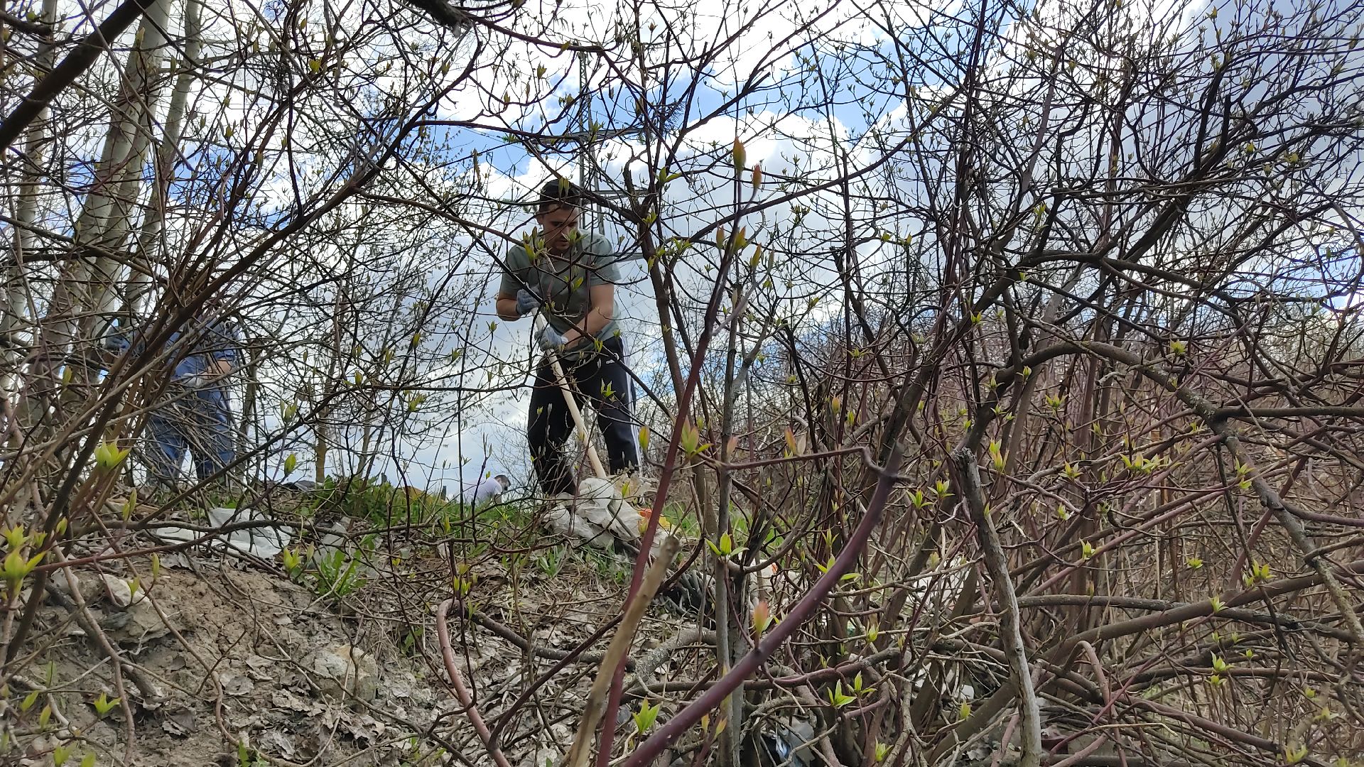 Лобня, благоустройство, субботник