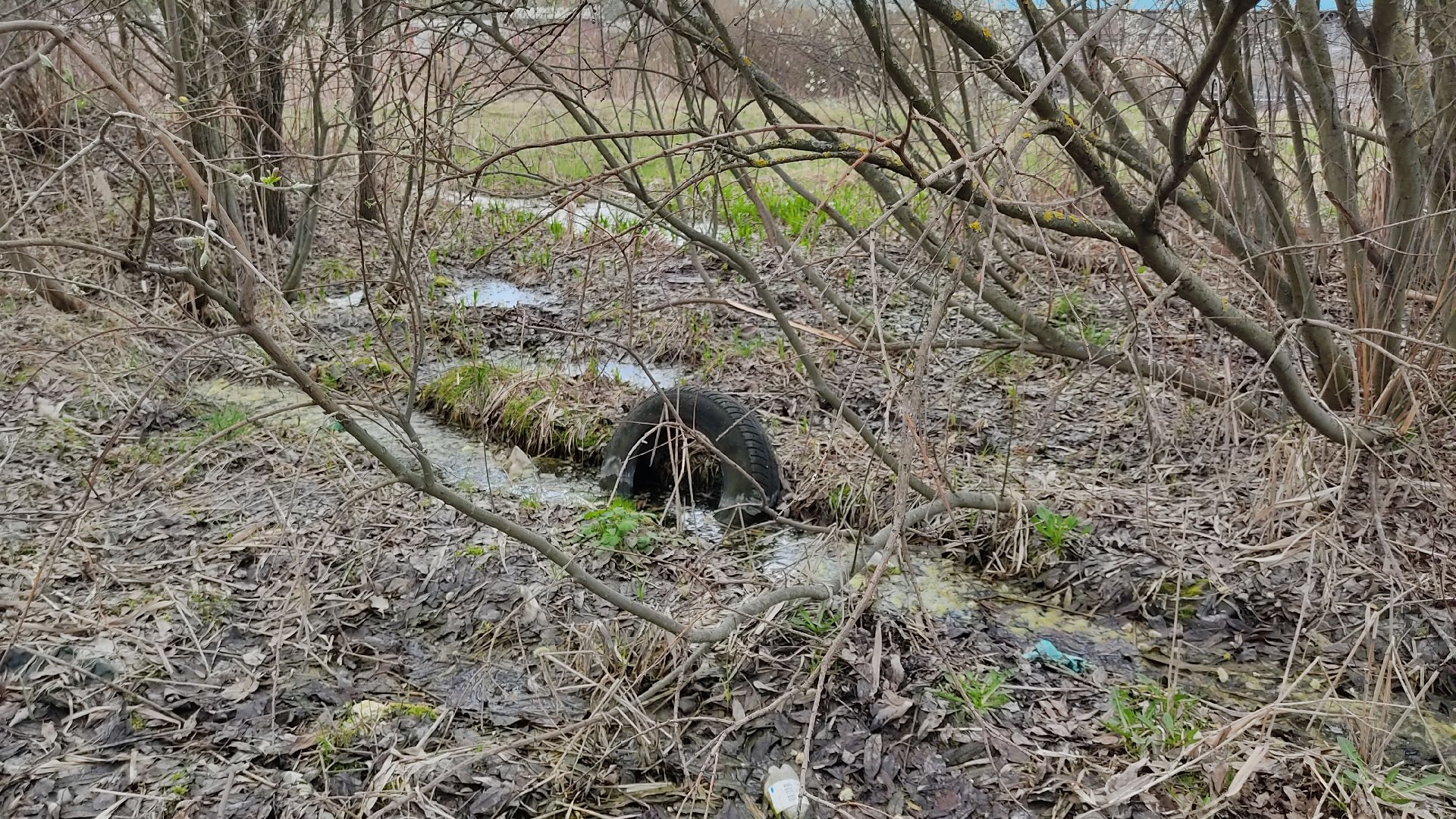 Лобня, благоустройство, субботник