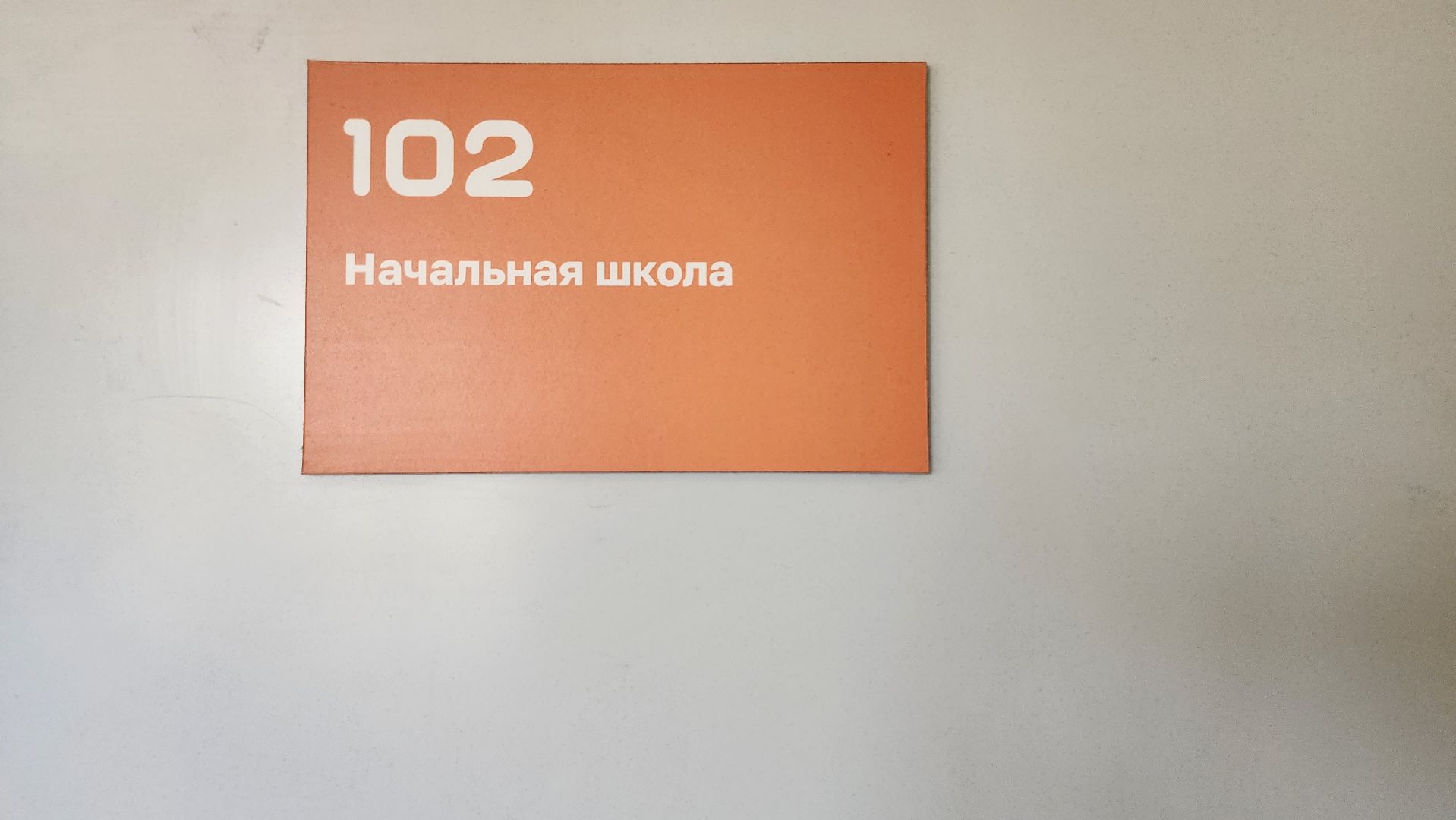 запись в школу, образование, начальная школа, Старая Купавна, Богородский городской округ,