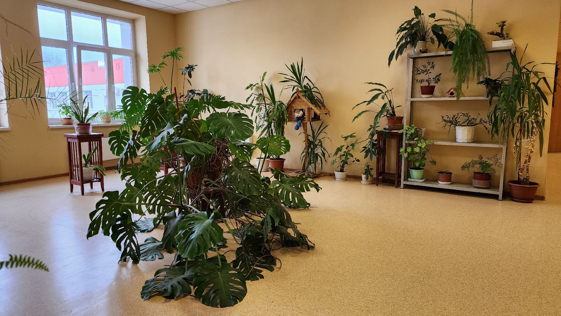 запись в школу, образование, начальная школа, Старая Купавна, Богородский городской округ,