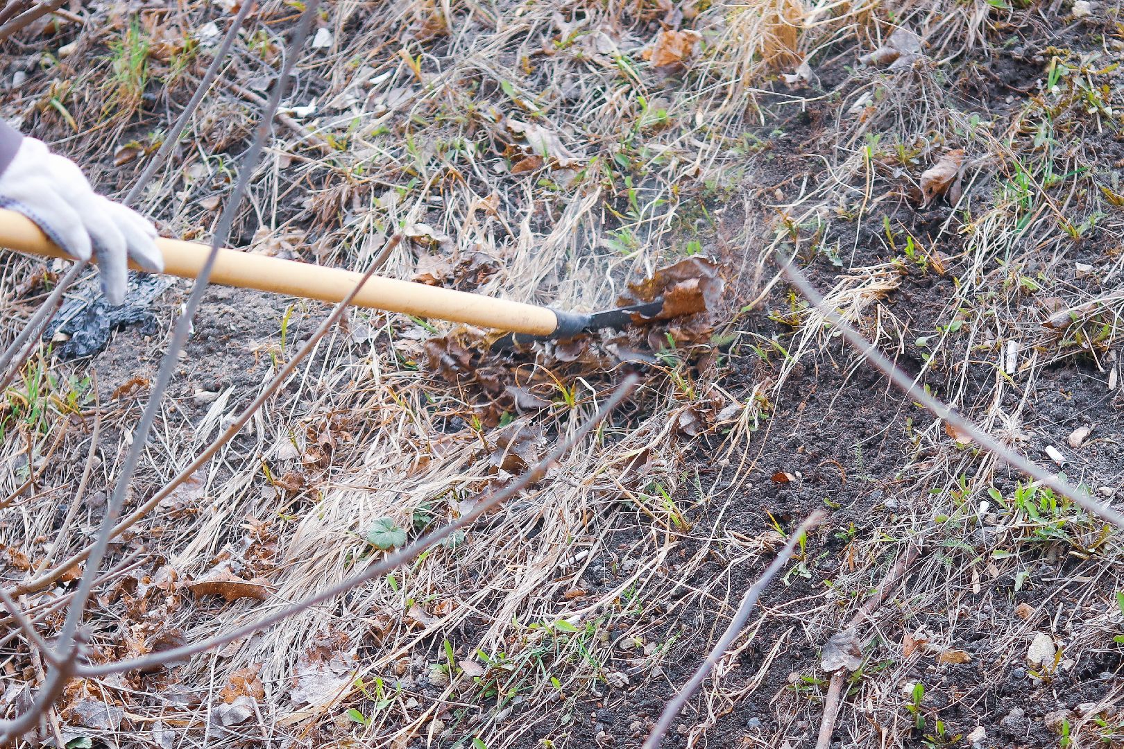 Клин, общество, субботник, благоустройство, экология, студенты, РГСУ,