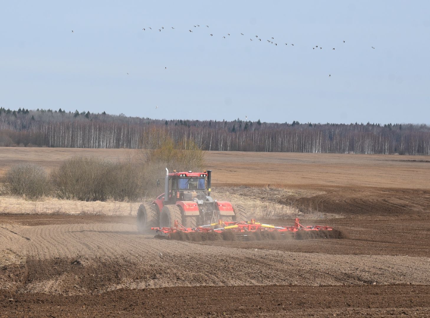 лотошино, сельское хозяйство, яровой сев,