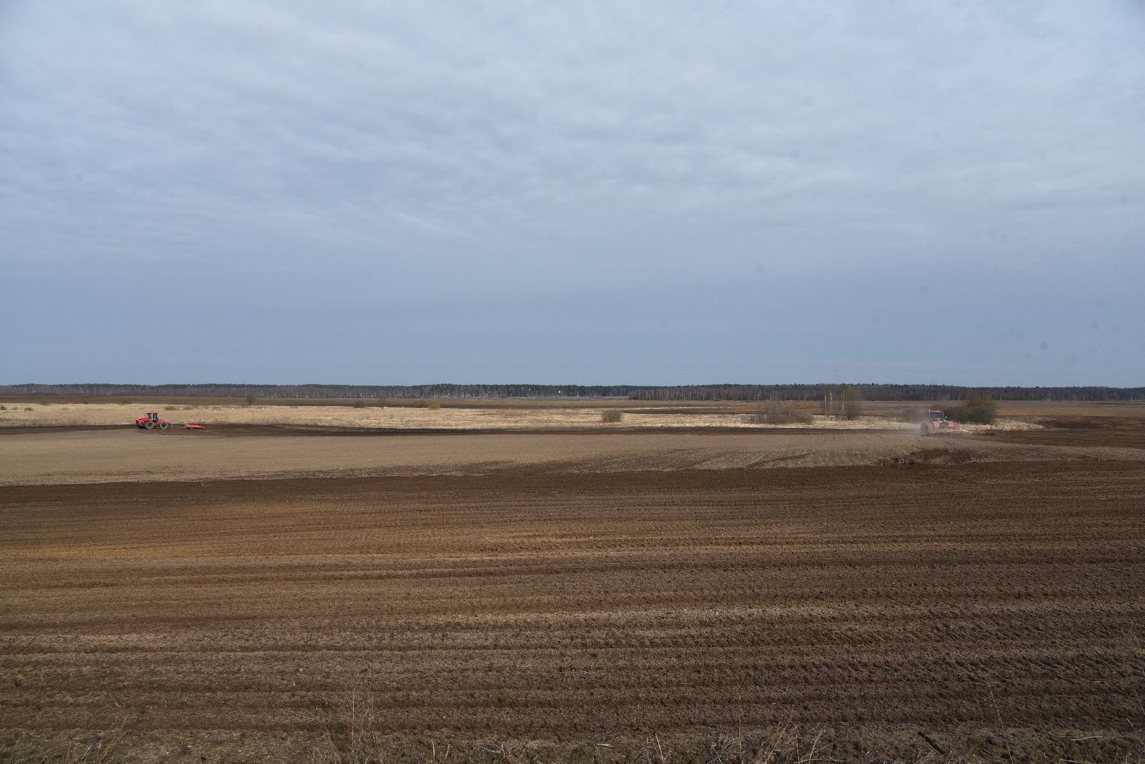 лотошино, сельское хозяйство, яровой сев,