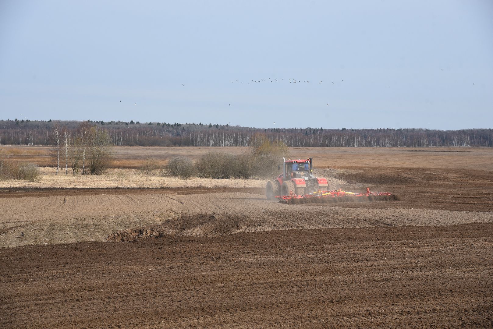 лотошино, сельское хозяйство, яровой сев,